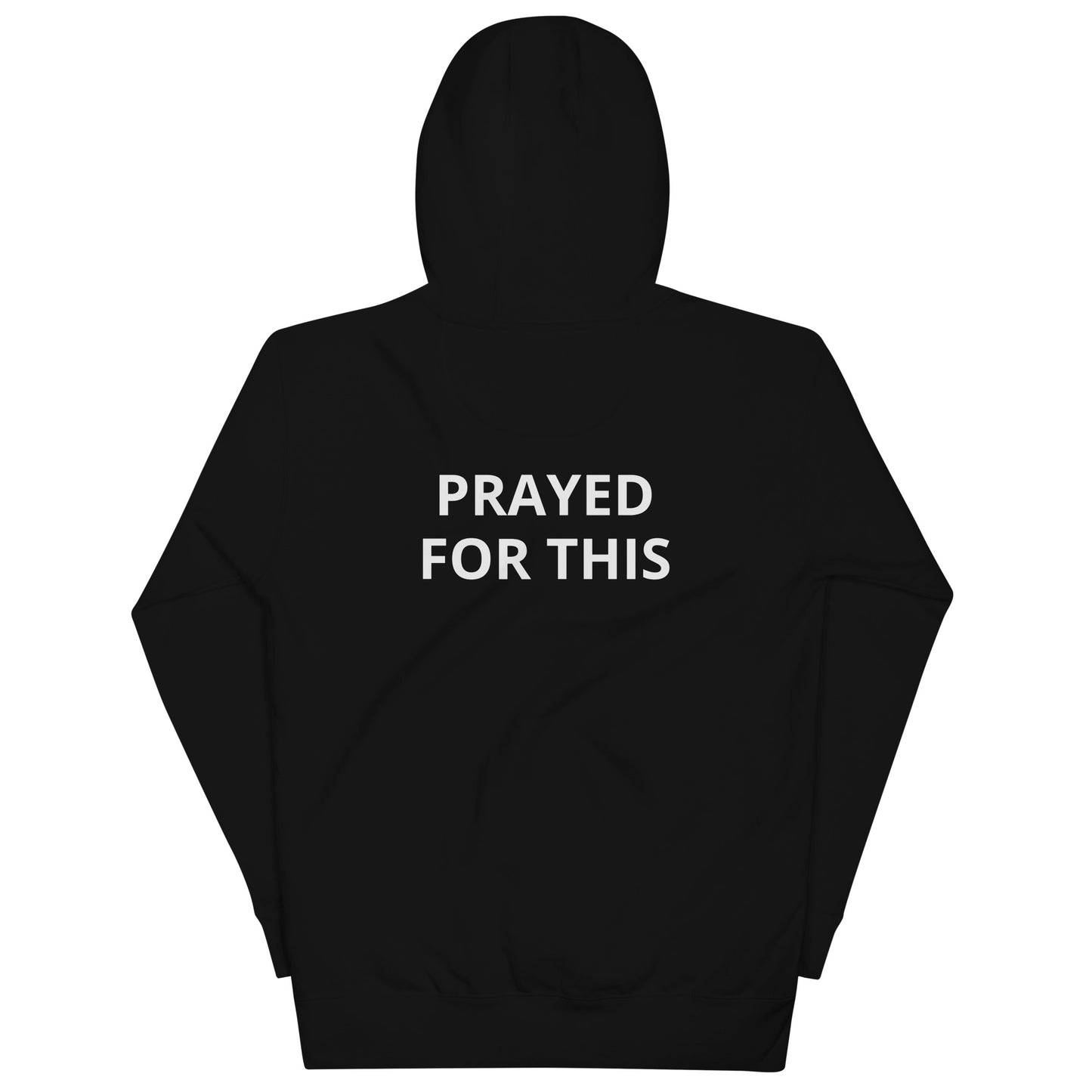 Prayed  For This Hoodie